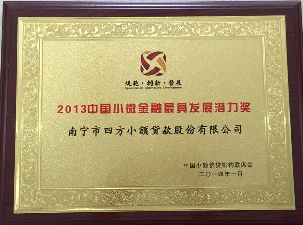 2013年中国小微金融最具发展潜力奖